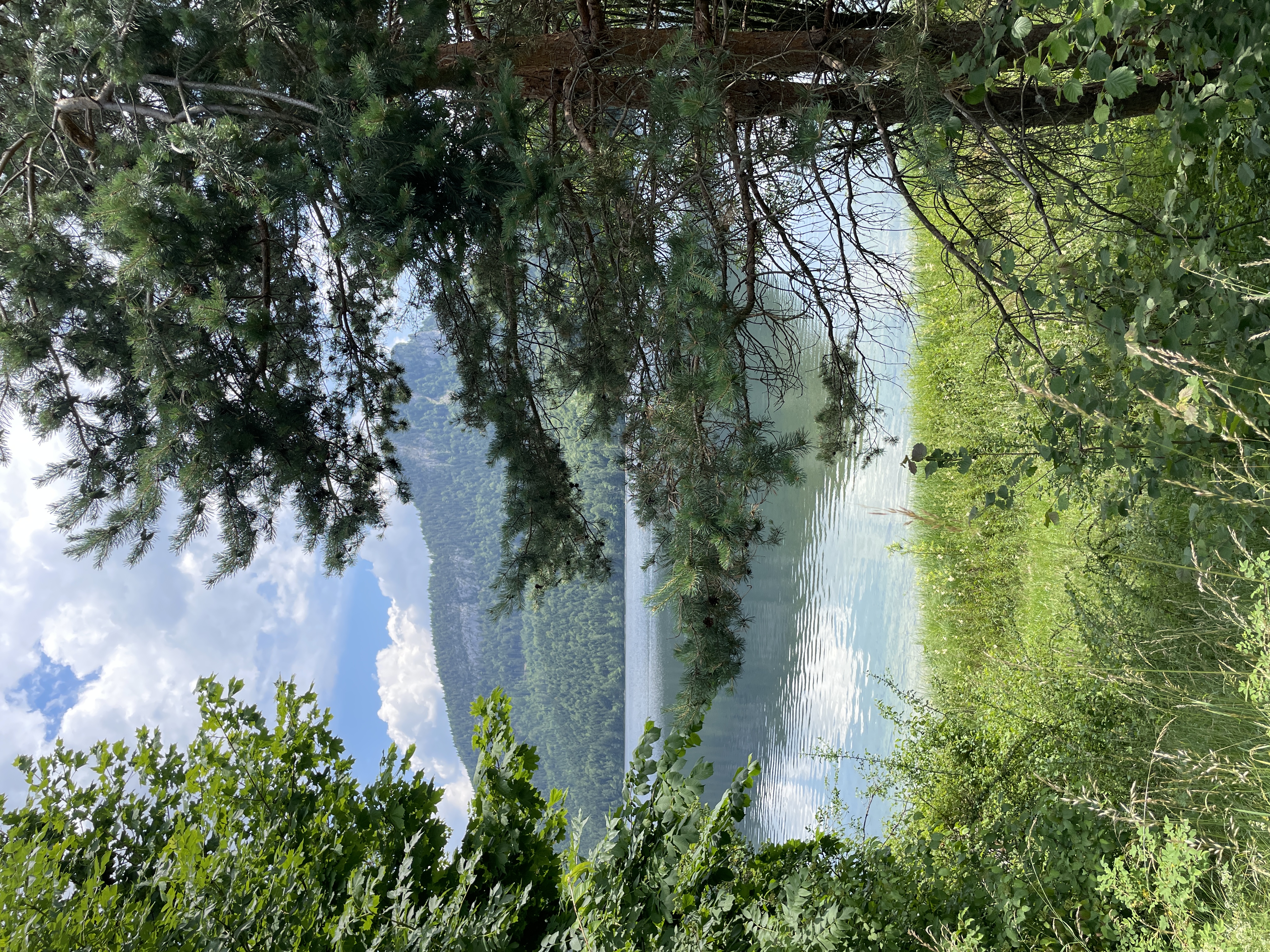 A Walk Around the Lake